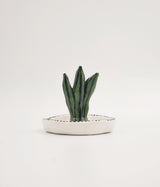 Cactus Mini Trinket Plate 1