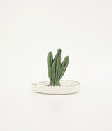 Cactus Mini Trinket Plate 3
