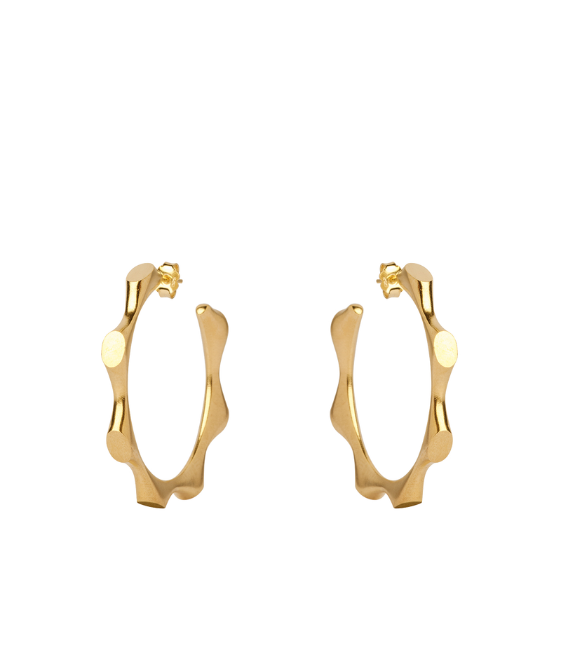 Gold Plated Philotera Hoop Earrings